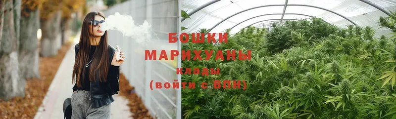 Шишки марихуана THC 21%  Пятигорск 